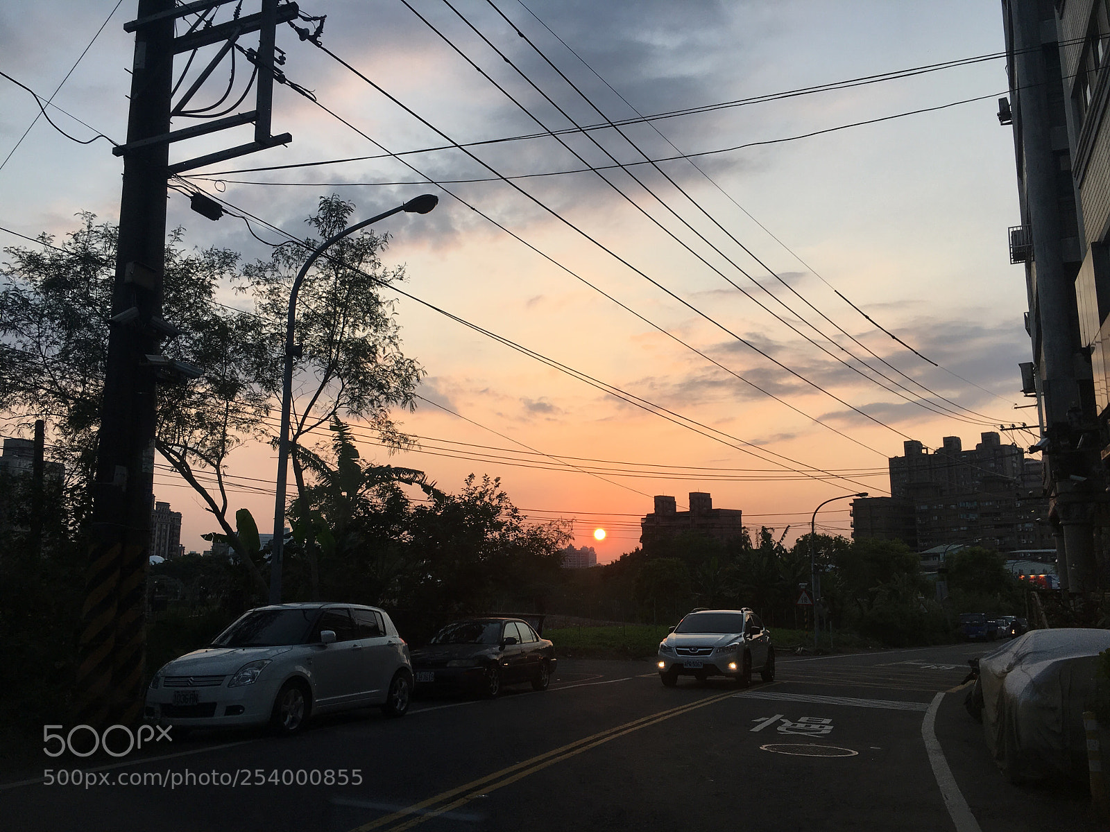 Apple iPhone 6s Plus sample photo. Untitled photography