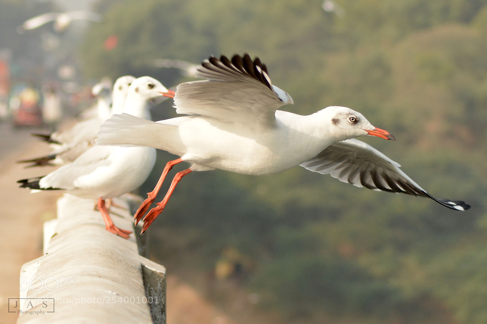 Nikon D7100 sample photo. Untitled photography