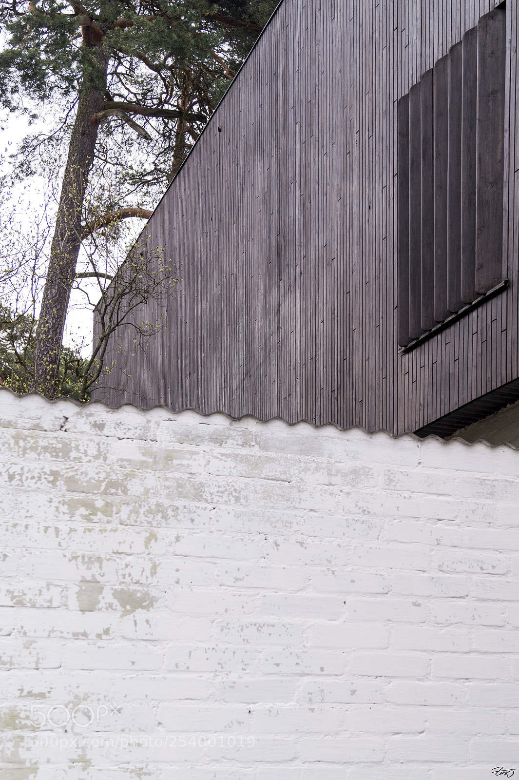 Sony SLT-A58 sample photo. Alvar aalto house photography