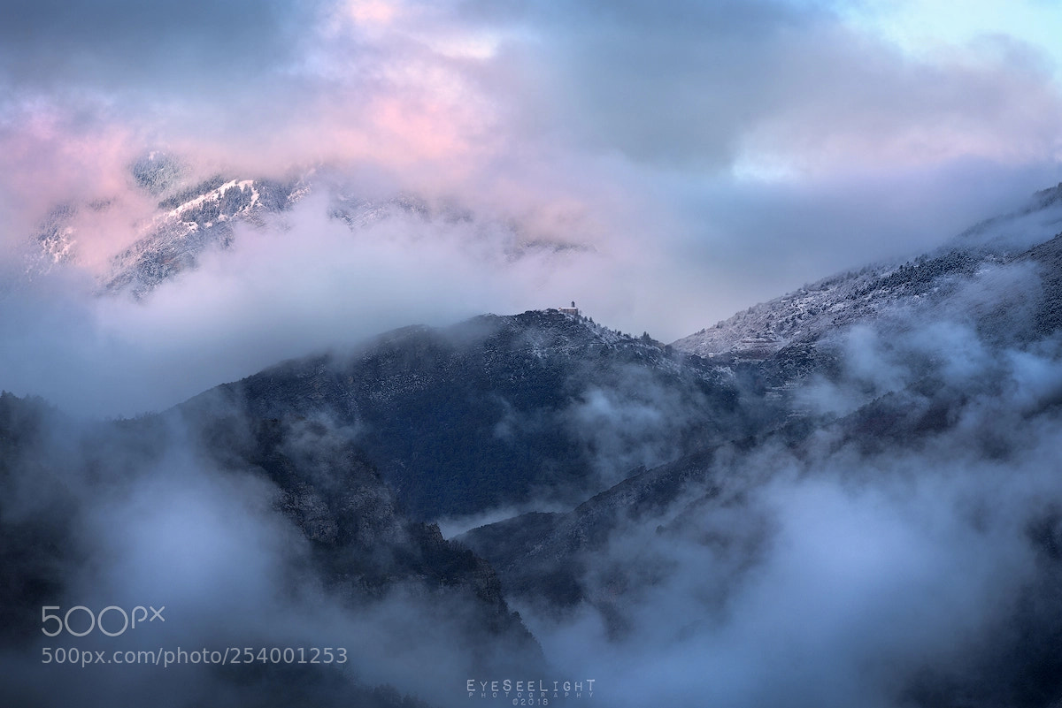 Nikon D810 sample photo. Cotton candy photography