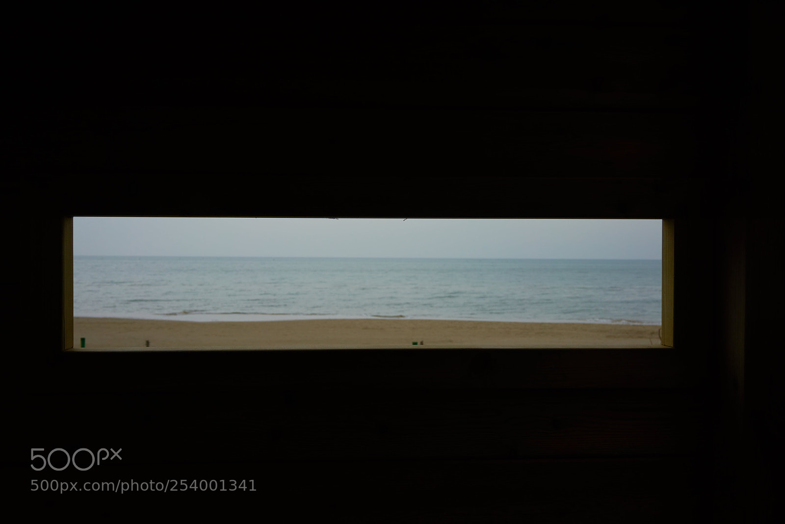 Sony a7R sample photo. Untitled photography