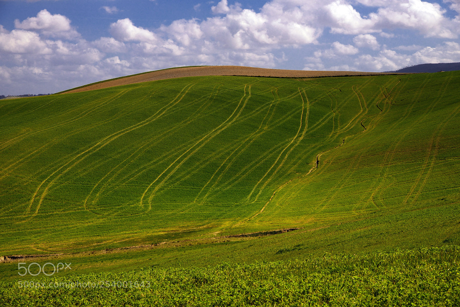 Nikon D800 sample photo. Agricultural architecture photography