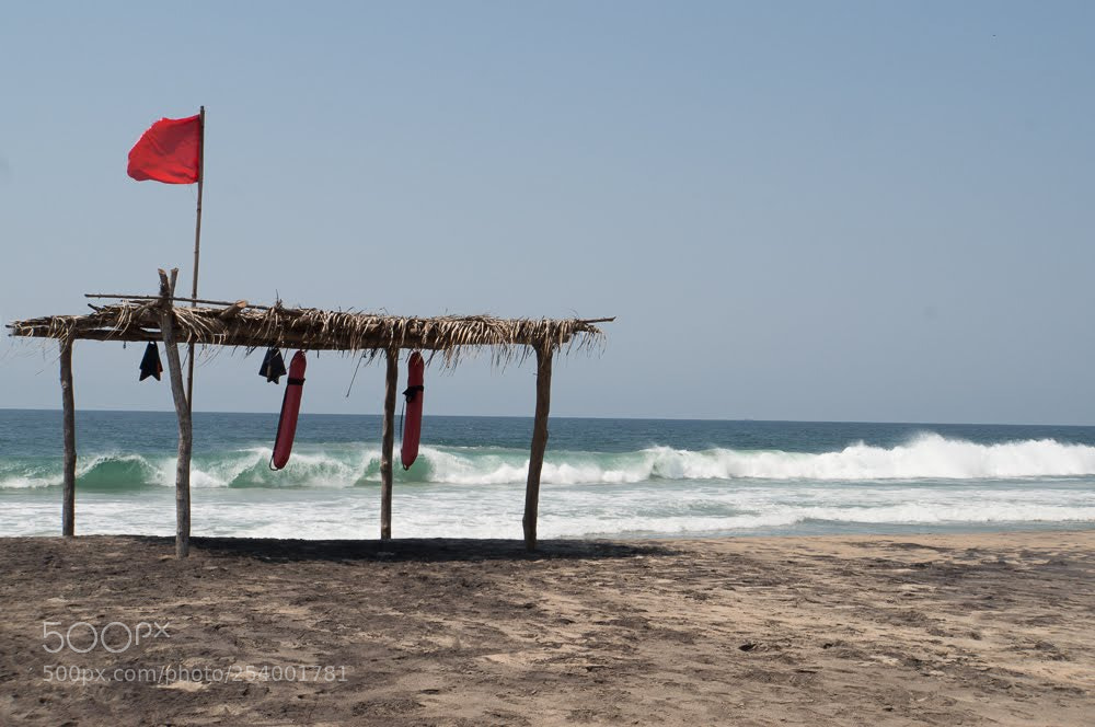 Sony Alpha NEX-3N sample photo. The red flag photography