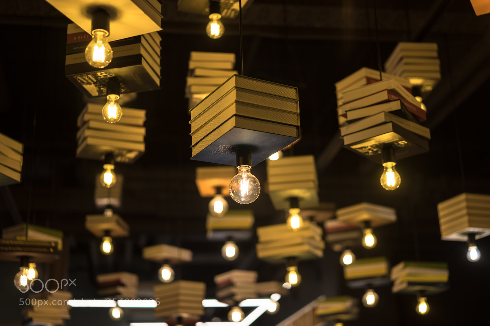 Sony a7 II sample photo. Untitled photography