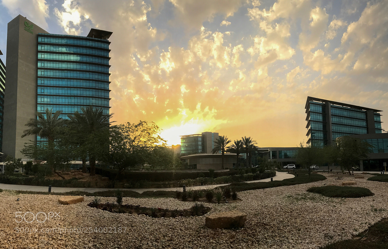 Apple iPhone 7 Plus sample photo. Beautiful goodbye photography