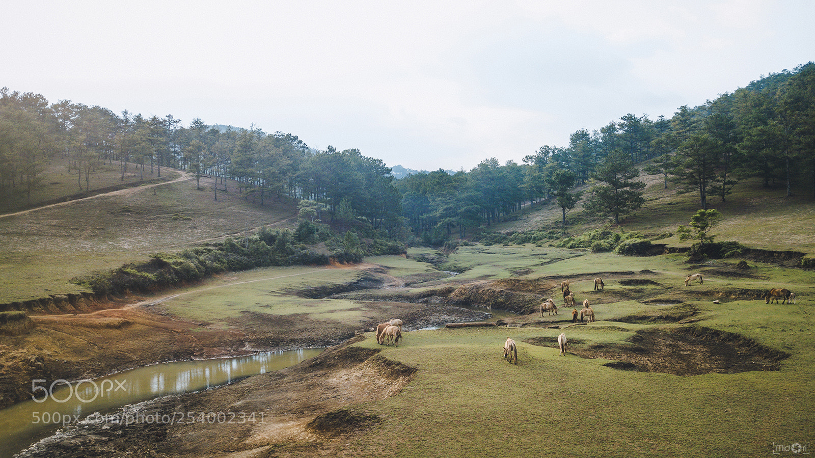 DJI FC220 sample photo. All so quiet photography