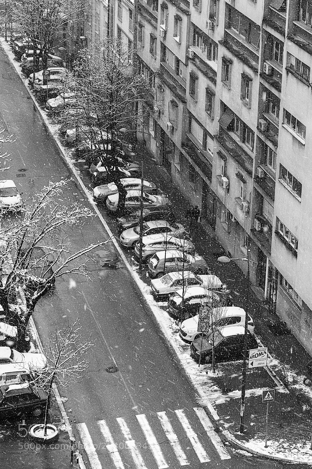 Sigma dp2 Quattro sample photo. First snow photography