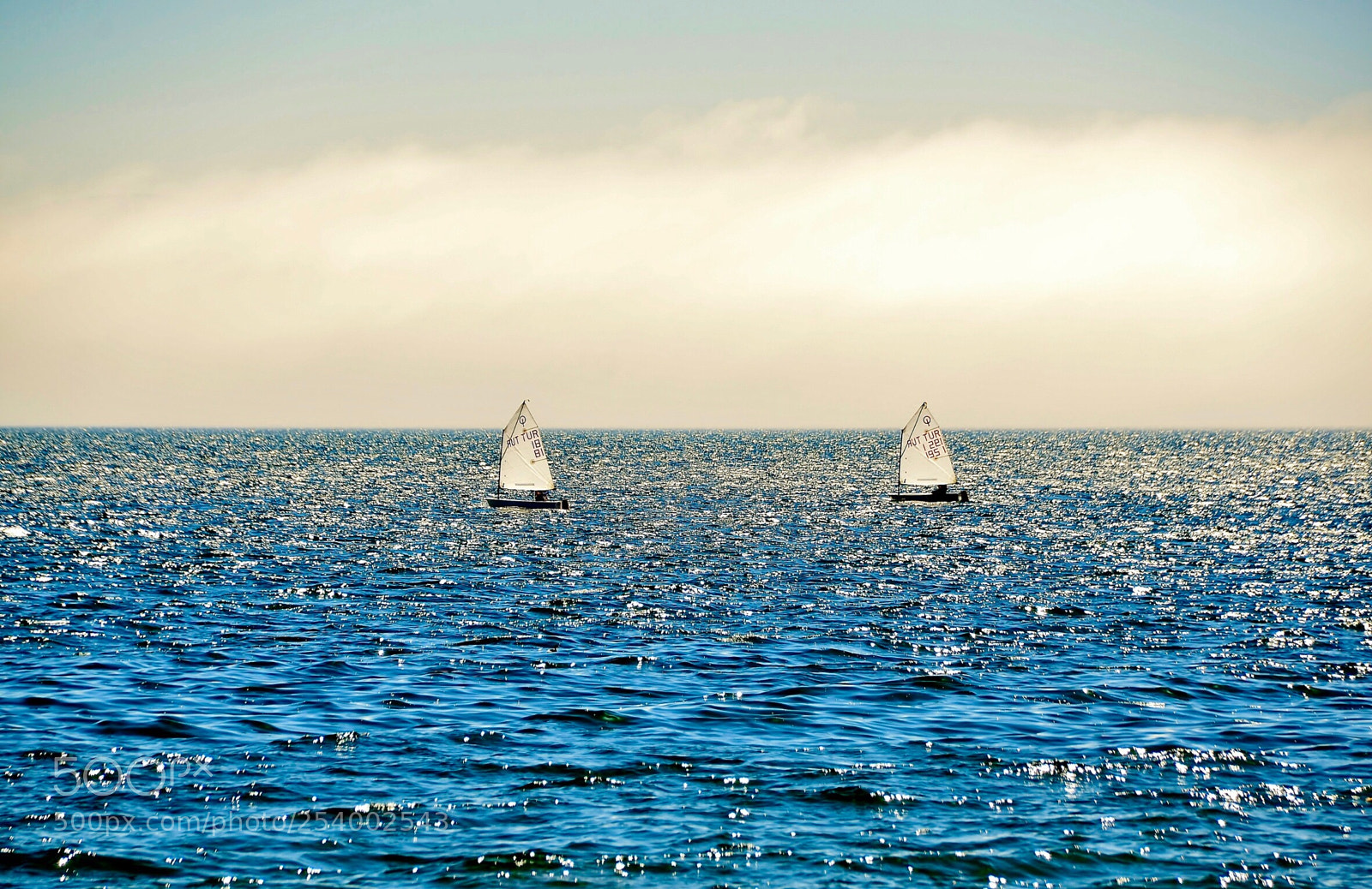Nikon D7000 sample photo. Sailing in a foggy photography