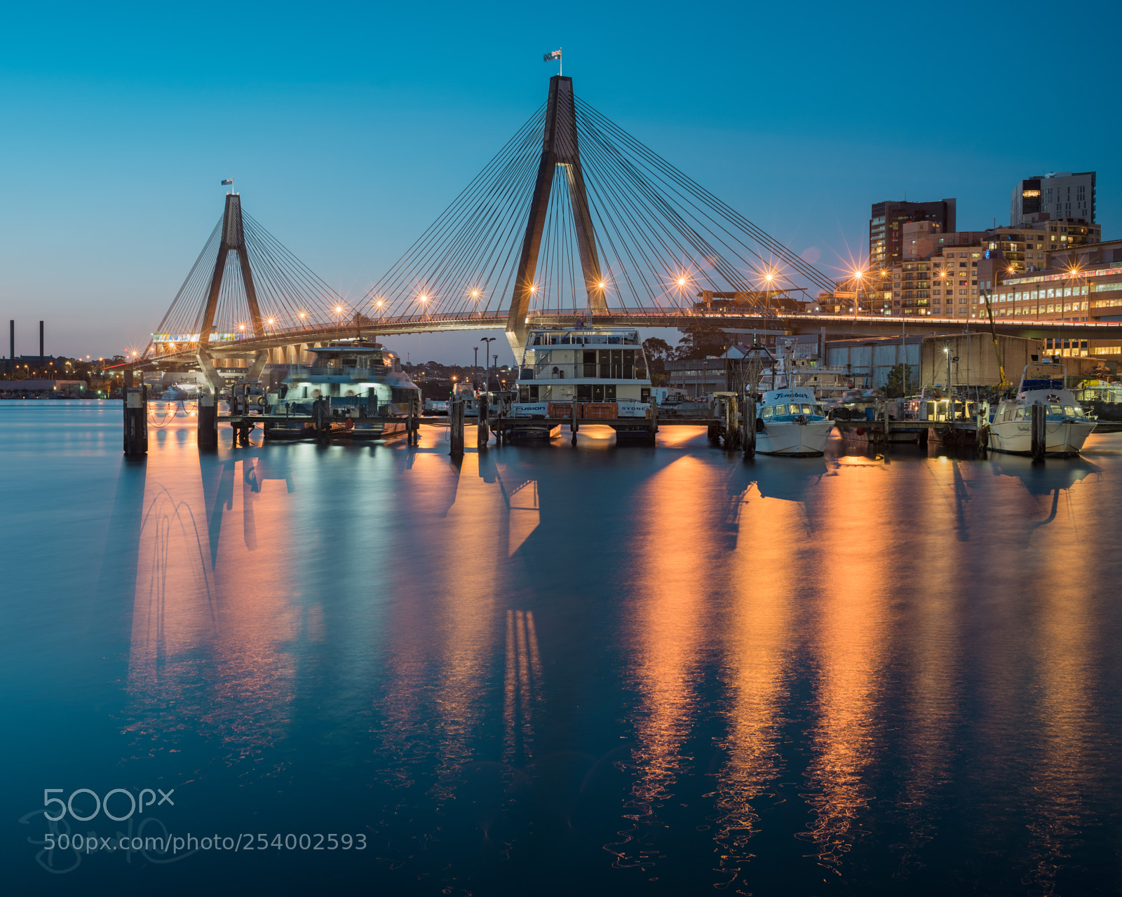 Nikon D810 sample photo. Blackwattle bay photography