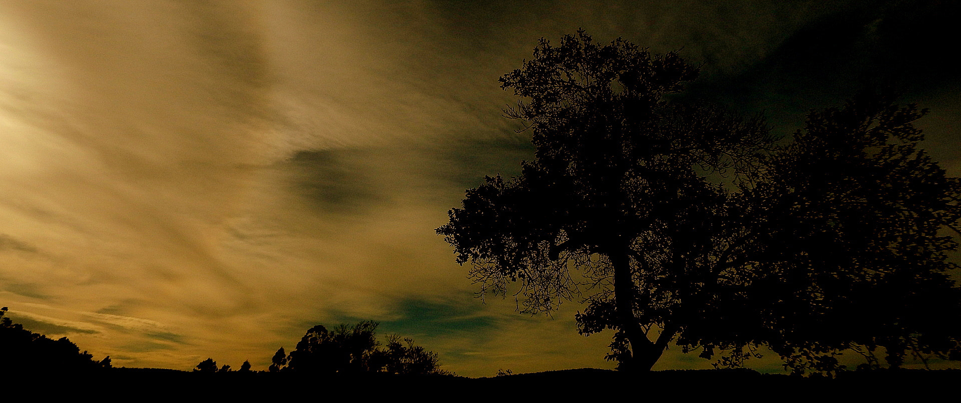 Fujifilm FinePix SL1000 sample photo. Morning ..... photography