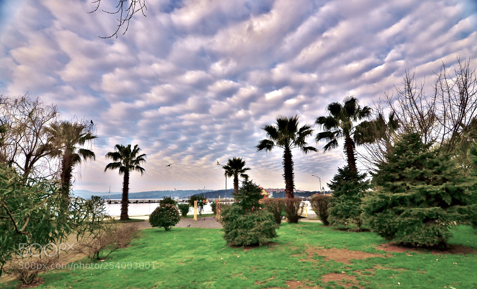 Nikon D7000 sample photo. Barış manço parkı  photography