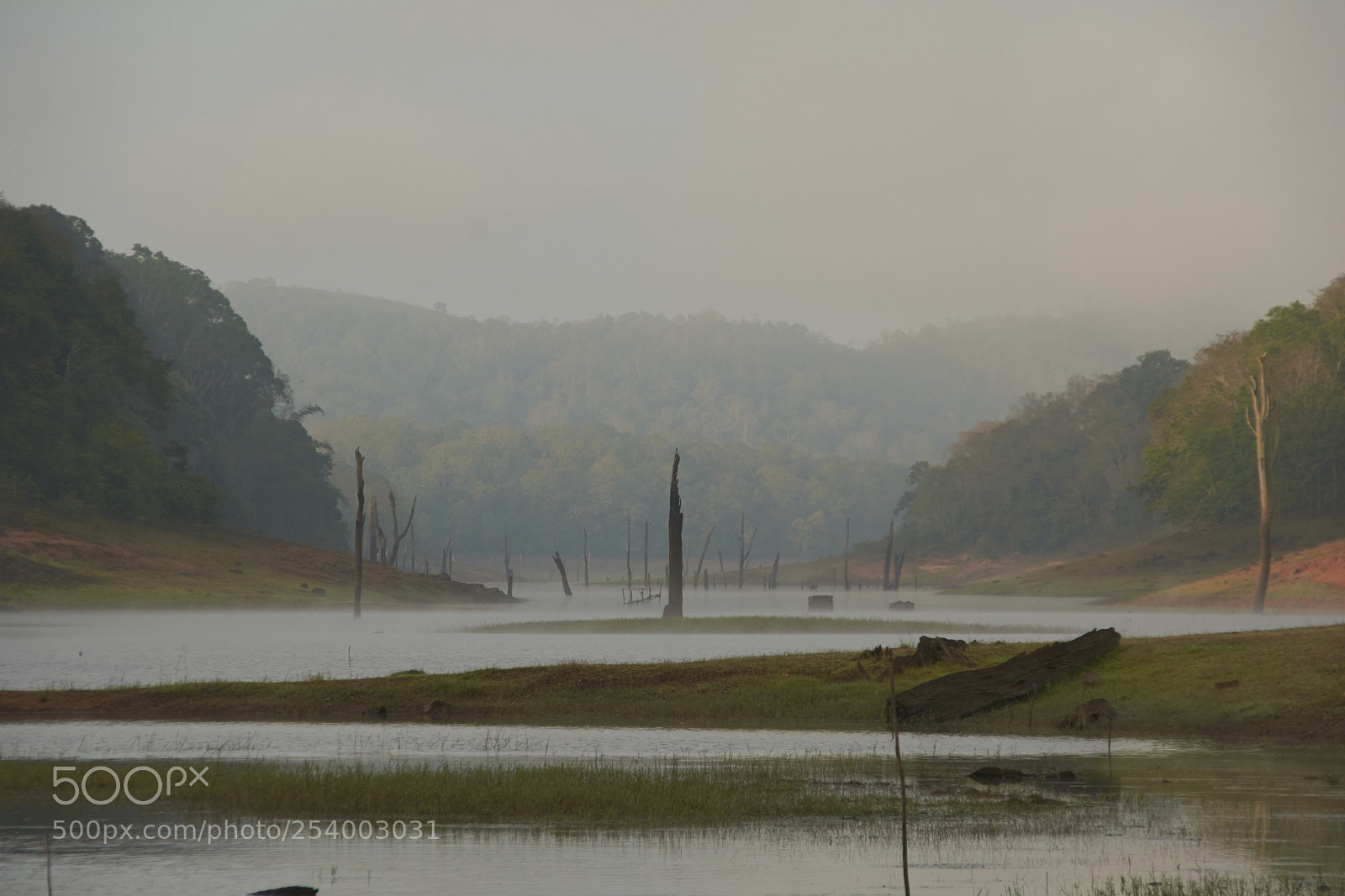 Nikon D7100 sample photo. Early morning at periyar photography