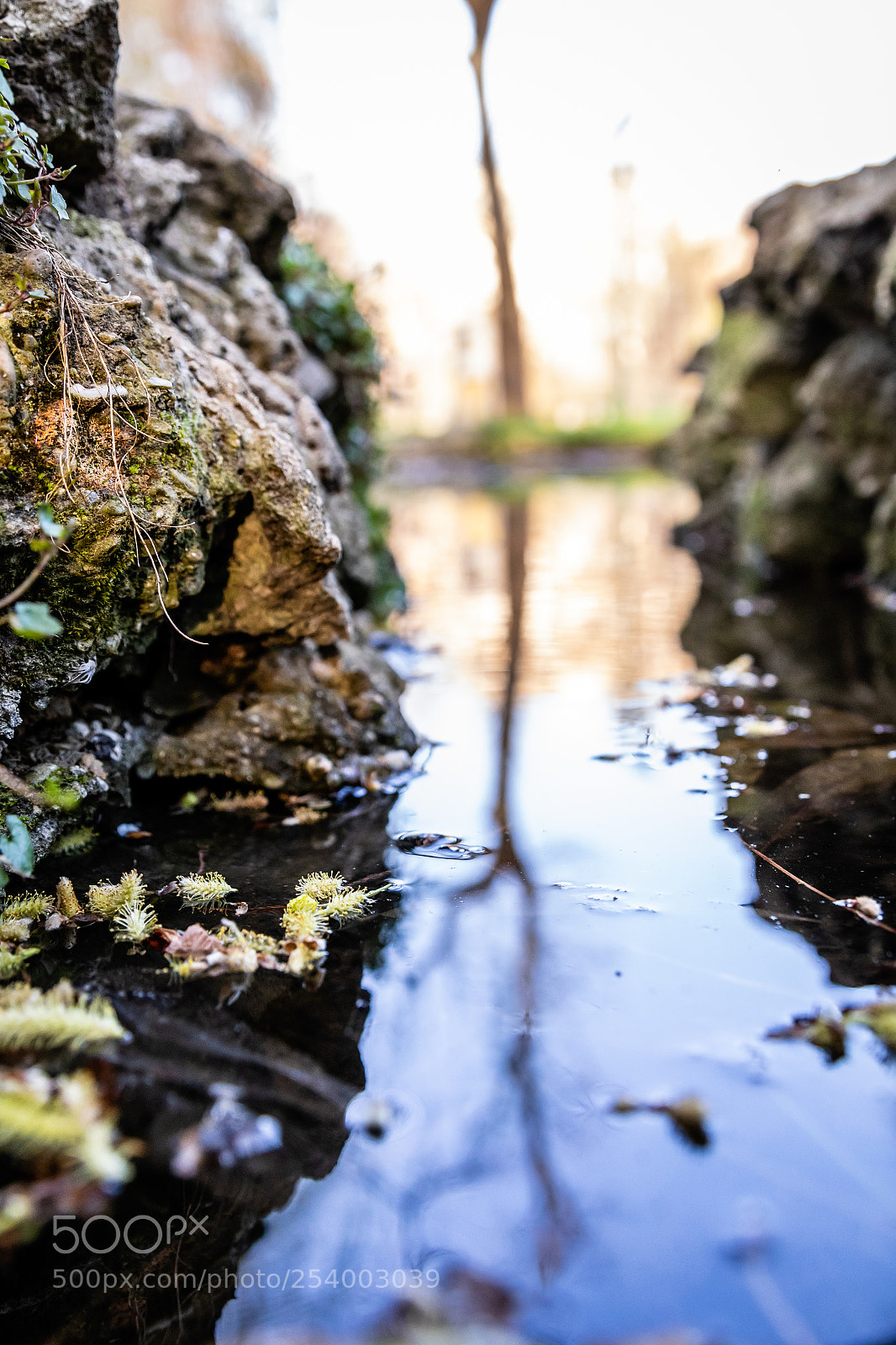 Canon EOS 7D Mark II sample photo. In the park photography