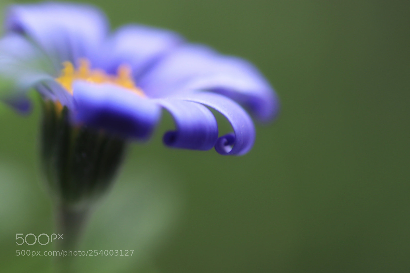 Canon EOS 80D sample photo. Untitled photography