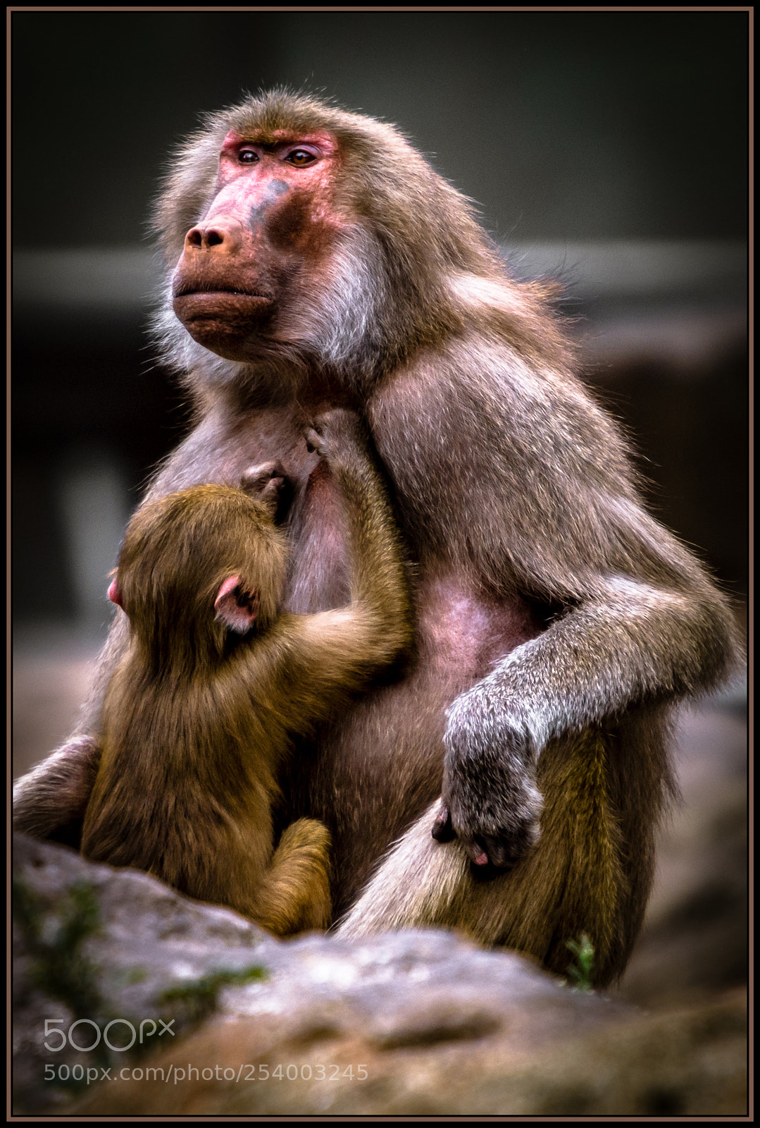 Nikon D7200 sample photo. Hold still mum...i'm nearly photography