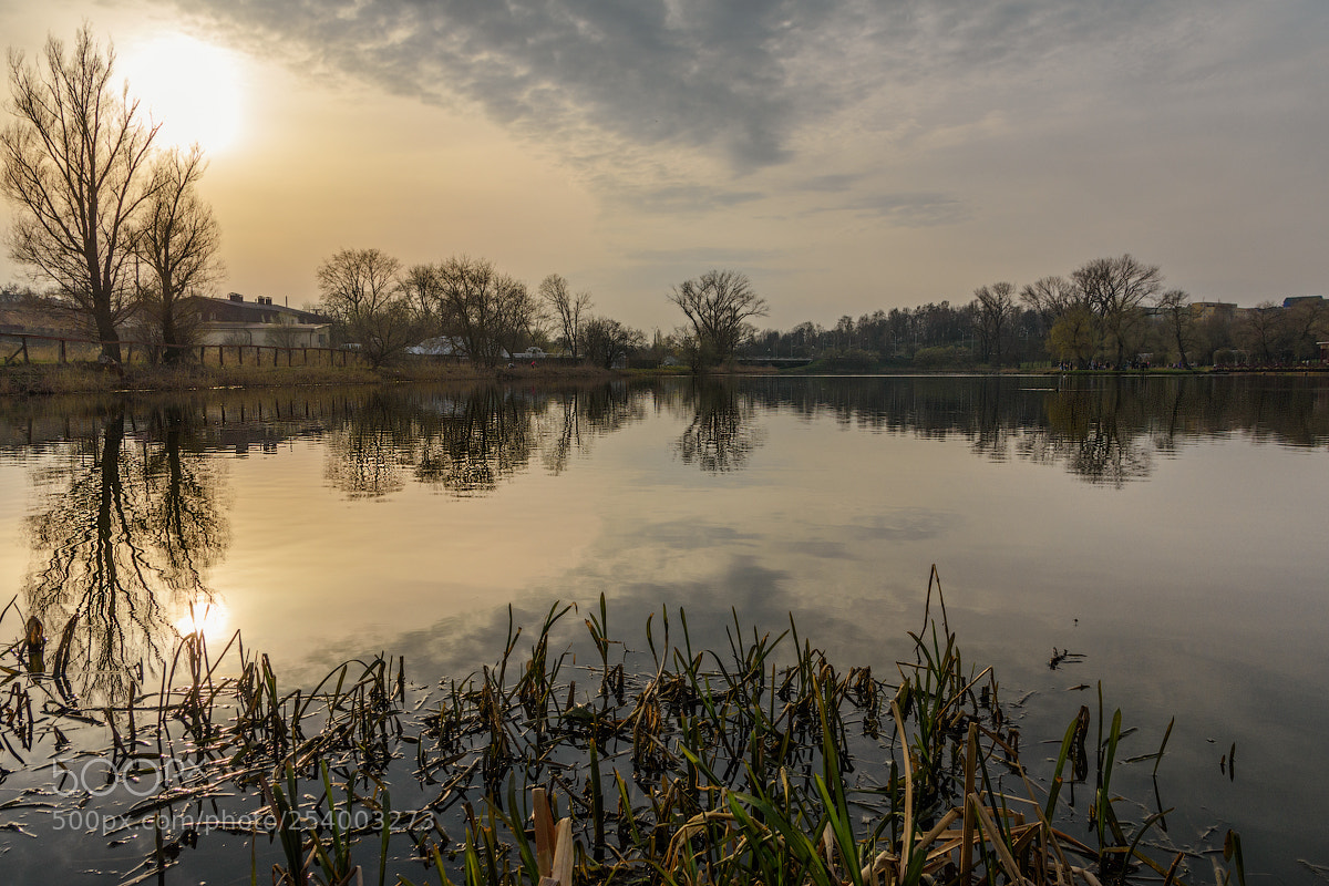 Nikon D7200 sample photo. Spring evening photography