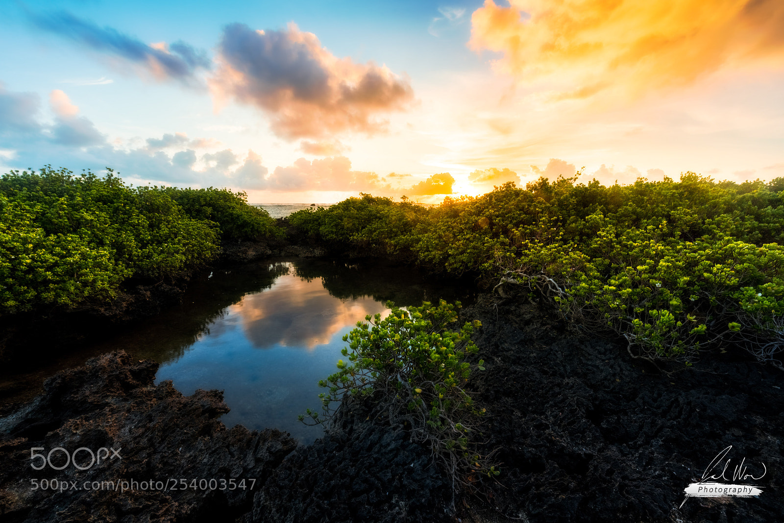 Nikon D810 sample photo. Ylig point sunrise photography