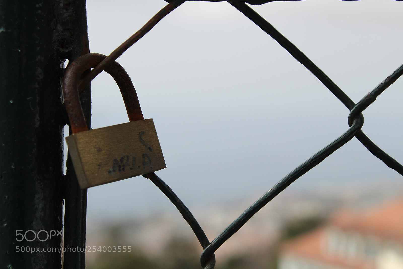 Canon EOS 1300D (EOS Rebel T6 / EOS Kiss X80) sample photo. Untitled photography