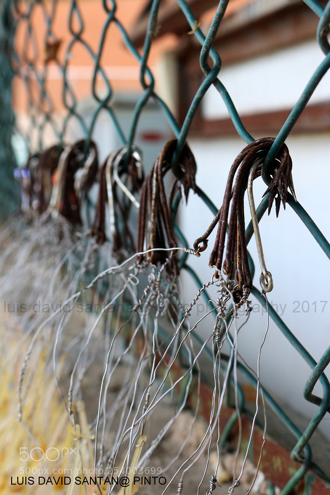 Canon EOS 700D (EOS Rebel T5i / EOS Kiss X7i) sample photo. Hooks photography