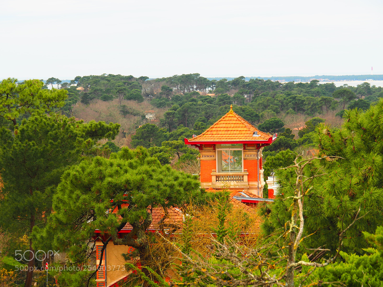 Olympus OM-D E-M5 II sample photo. Mirador photography
