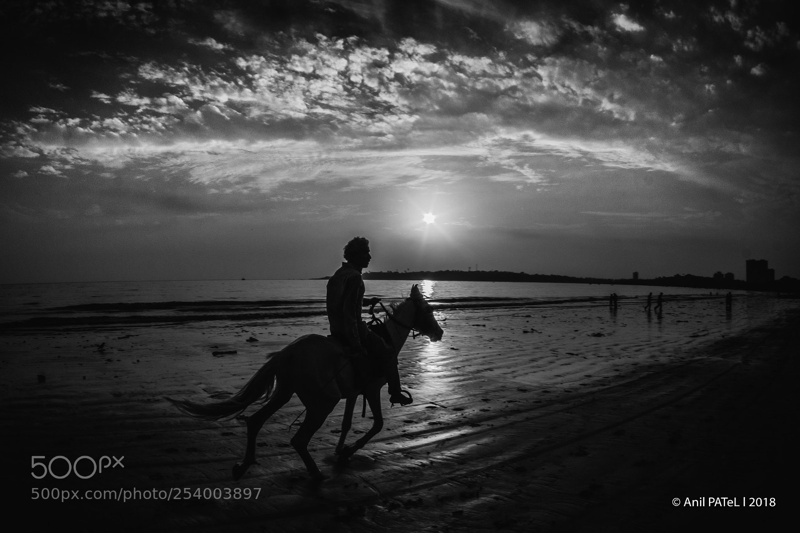 Canon EOS 70D sample photo. Horsepower photography