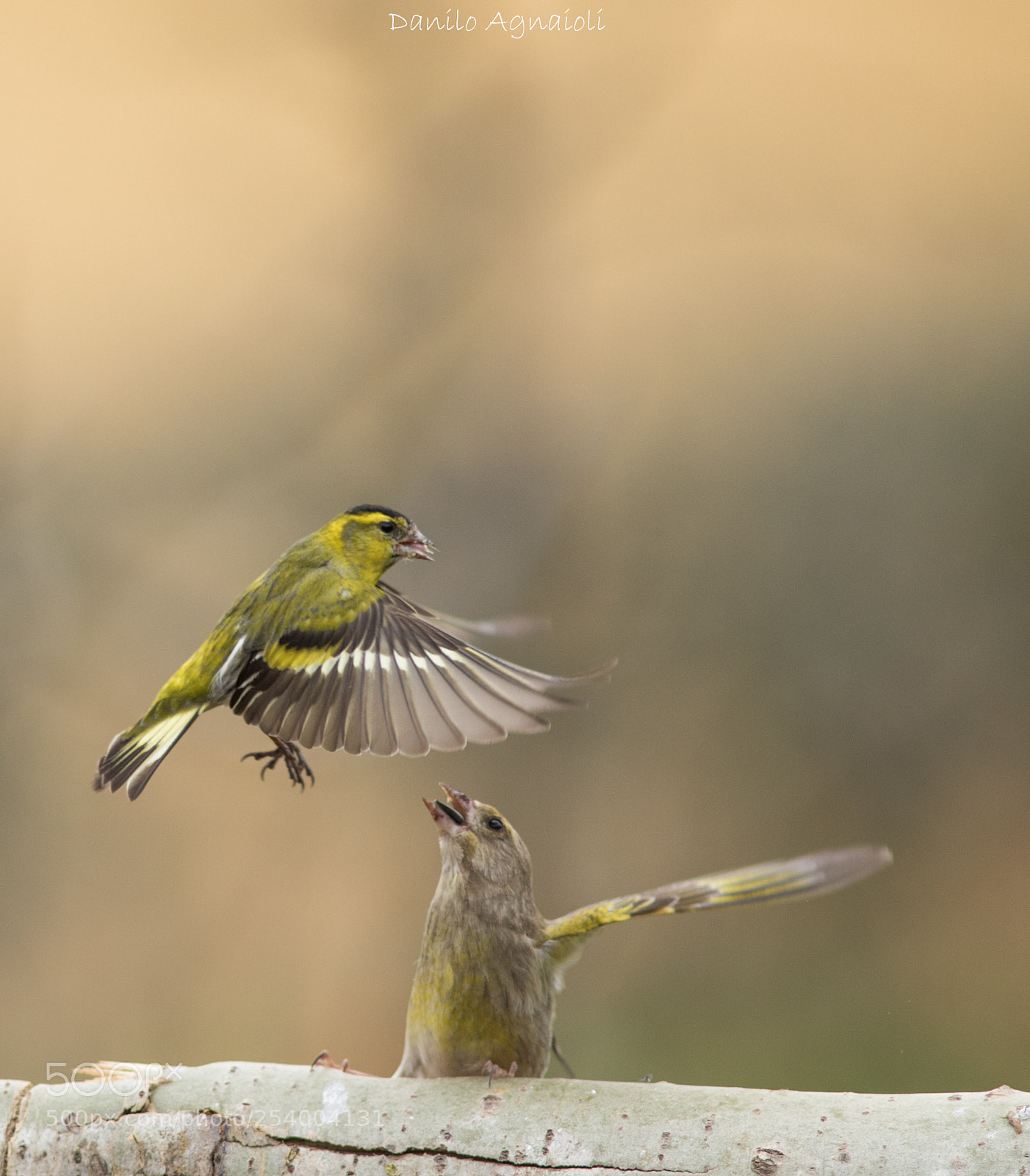 Canon EOS 7D Mark II sample photo. Scusi per la stazione photography