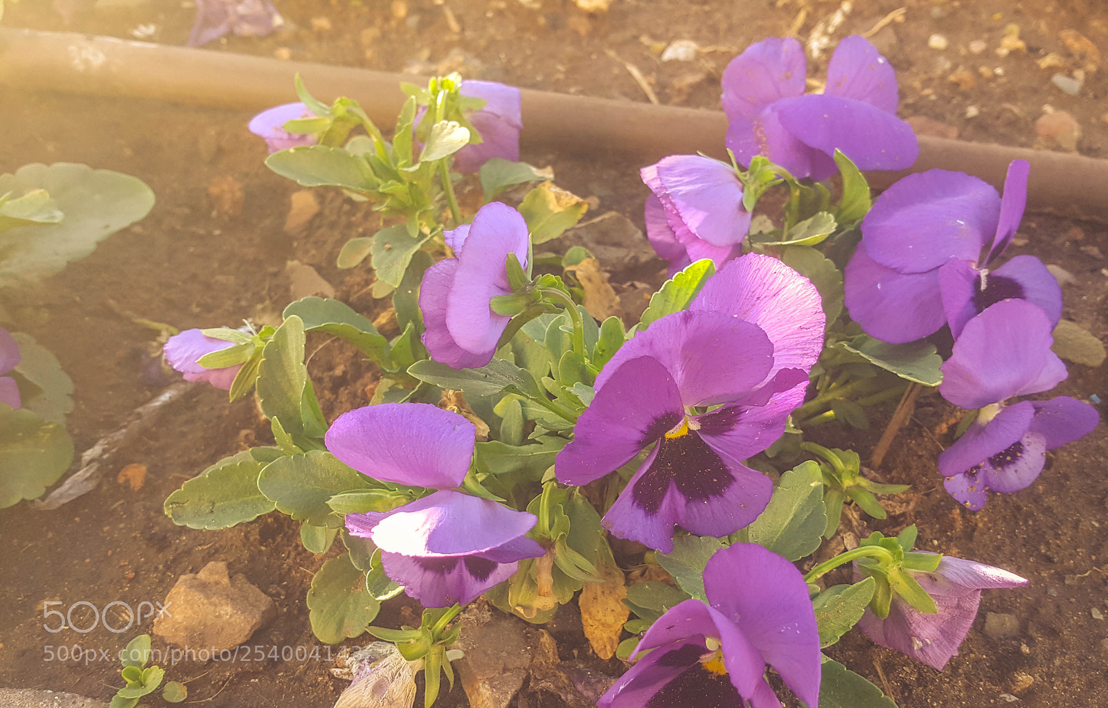 Samsung Galaxy S6 sample photo. Img_20180408_190238.jpg photography