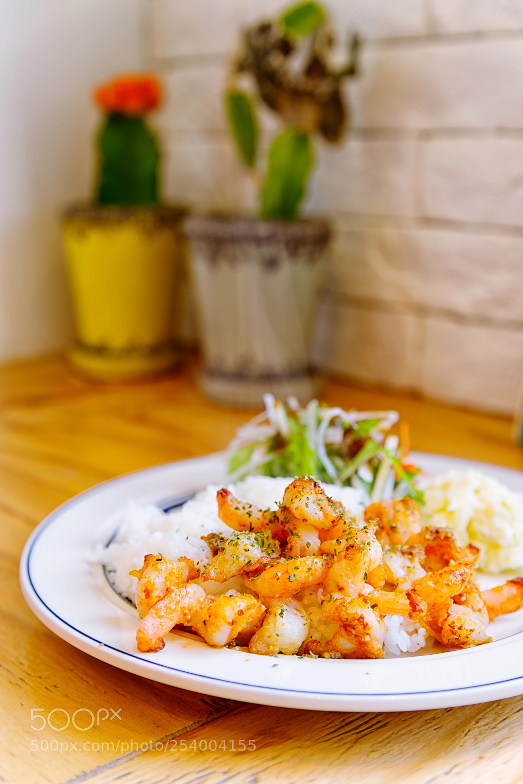 Pentax K-1 sample photo. Garlic shrimp photography