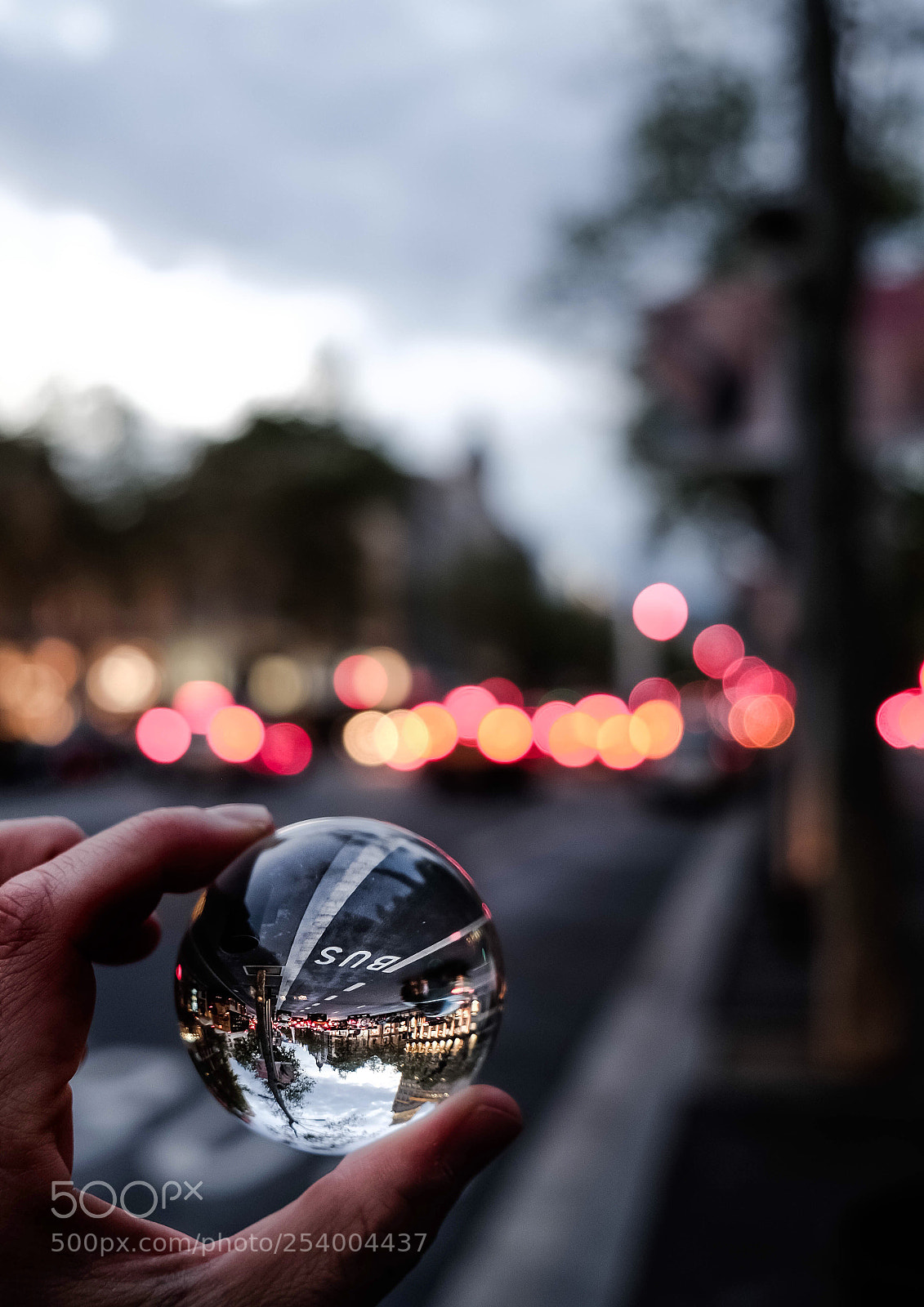 Fujifilm X-T1 sample photo. Untitled photography