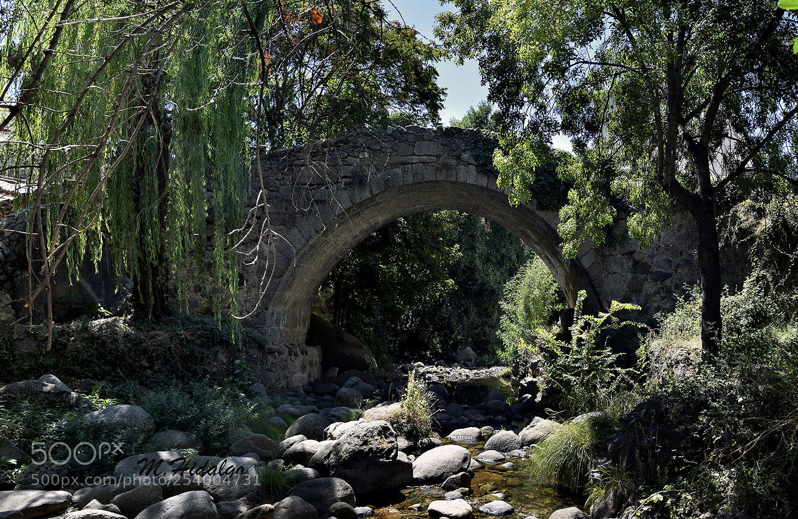 Nikon D3300 sample photo. Puente de hervas photography