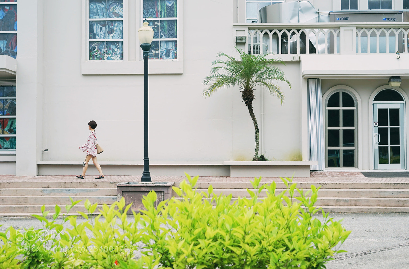 Sony a7 sample photo. The way of the photography