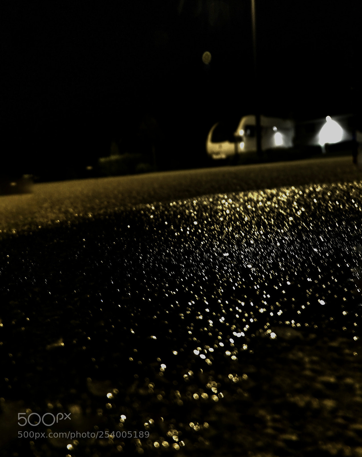 Sony Cyber-shot DSC-HX400V sample photo. Glittering photography