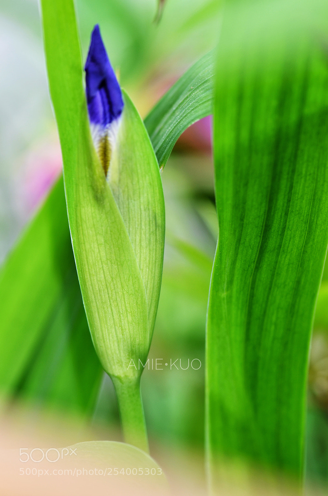 Nikon D7000 sample photo. Untitled photography