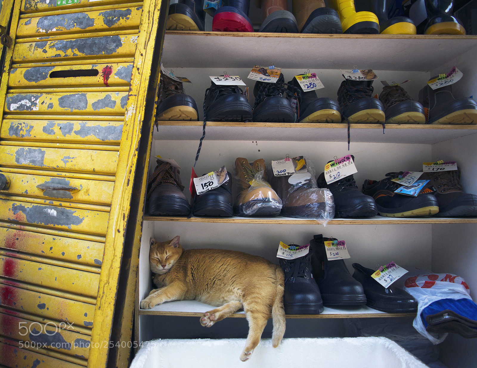 Nikon D7000 sample photo. A resting place for photography
