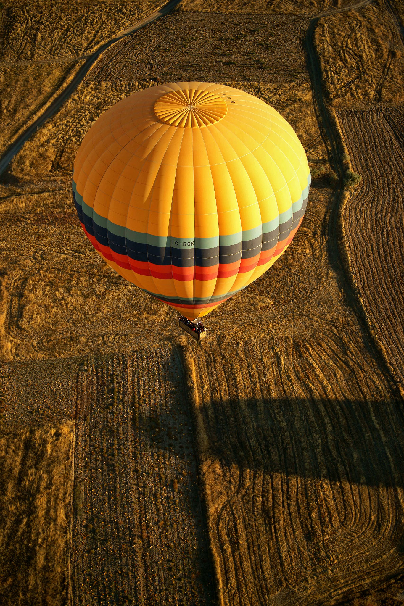 Sony Alpha DSLR-A900 sample photo. Be free in a hot air balloon photography