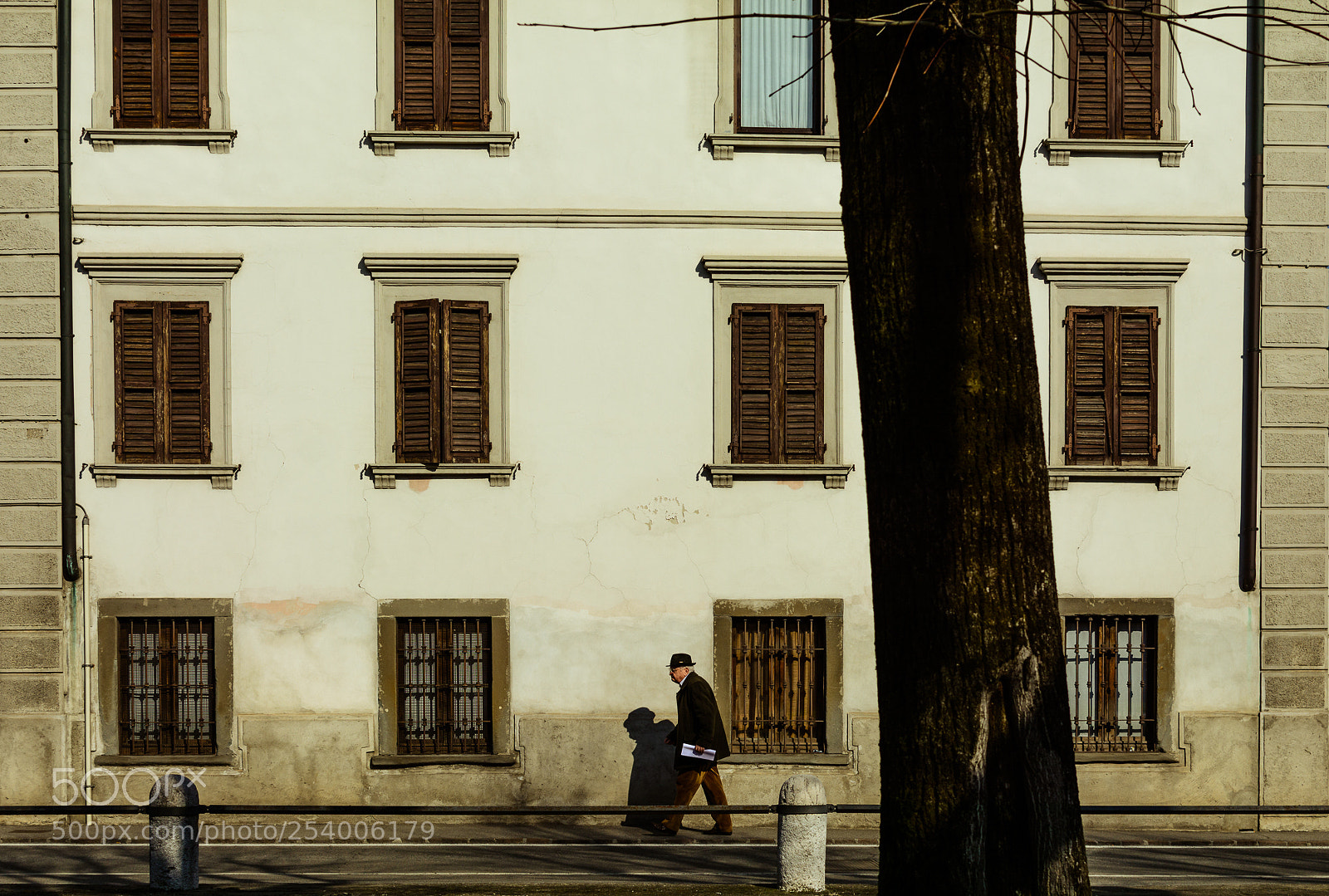Nikon D7100 sample photo. Caught in a dream photography