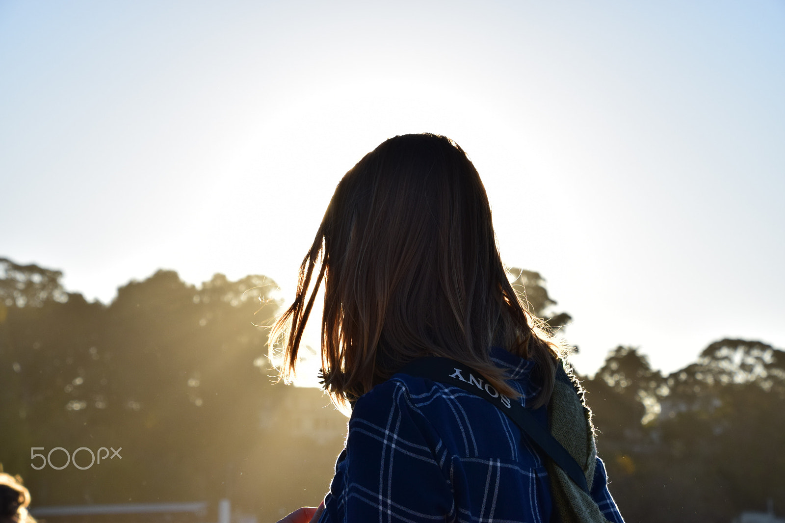 Nikon D5300 sample photo. Sunny silhouette photography