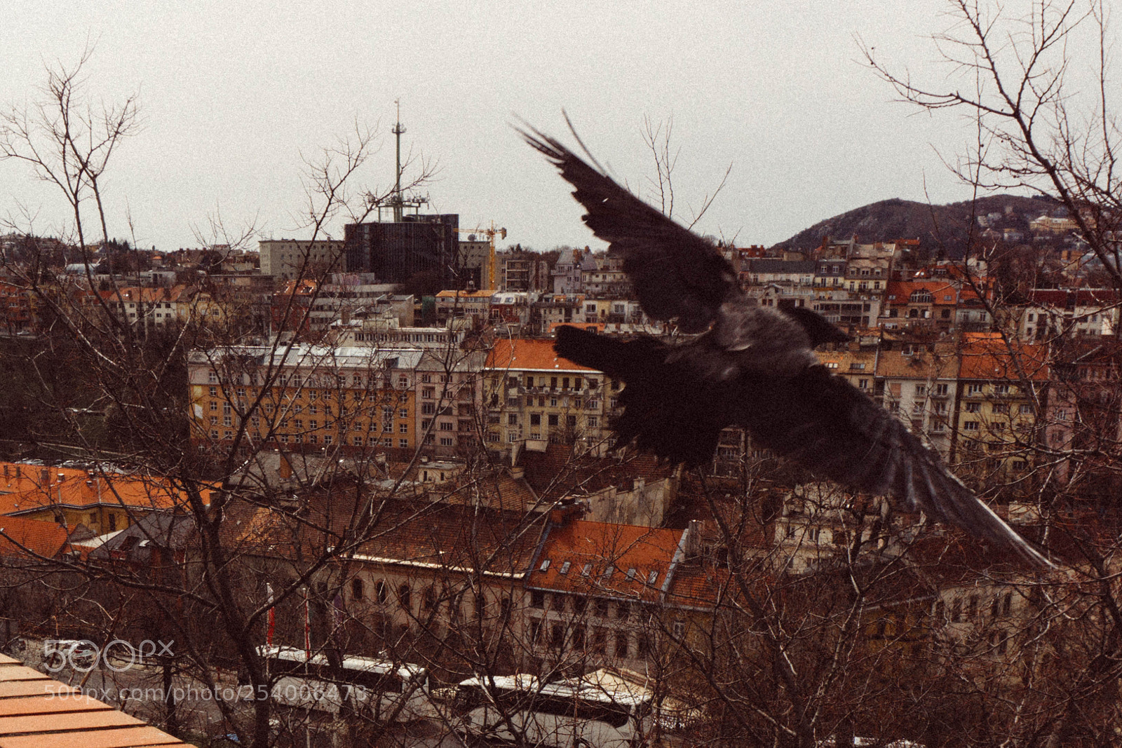 Sony a6000 sample photo. Trip to hungary photography