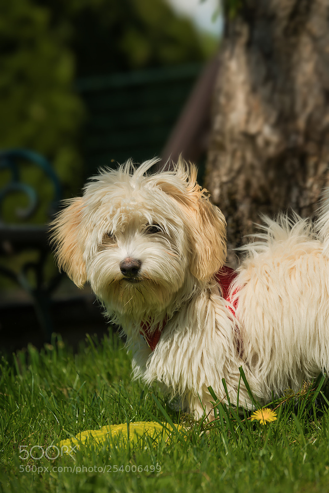 Nikon D800 sample photo. And what could photography