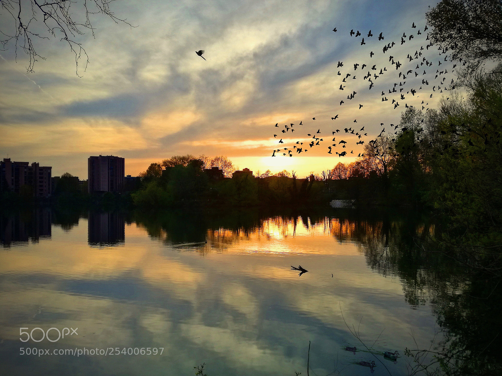 HUAWEI P9 LITE sample photo. Laghetto europa aprile photography