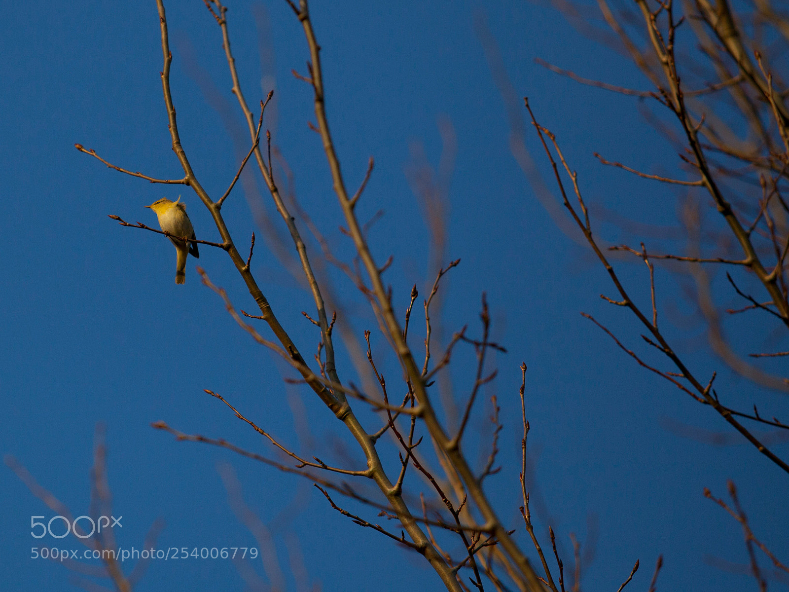 Canon EOS 5D Mark II sample photo. Untitled photography