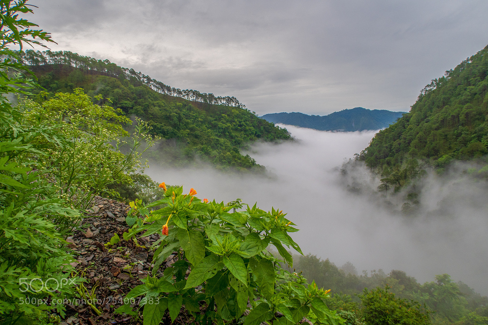 Canon PowerShot G7 X sample photo. Valley of clouds photography