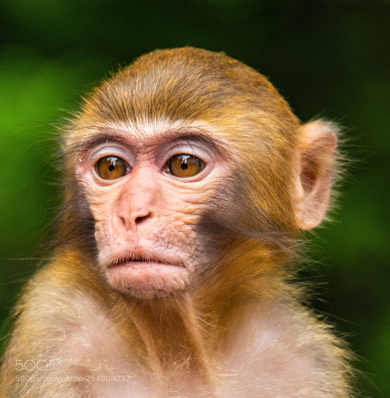 Nikon D810 sample photo. _dsc2871-2.jpg photography