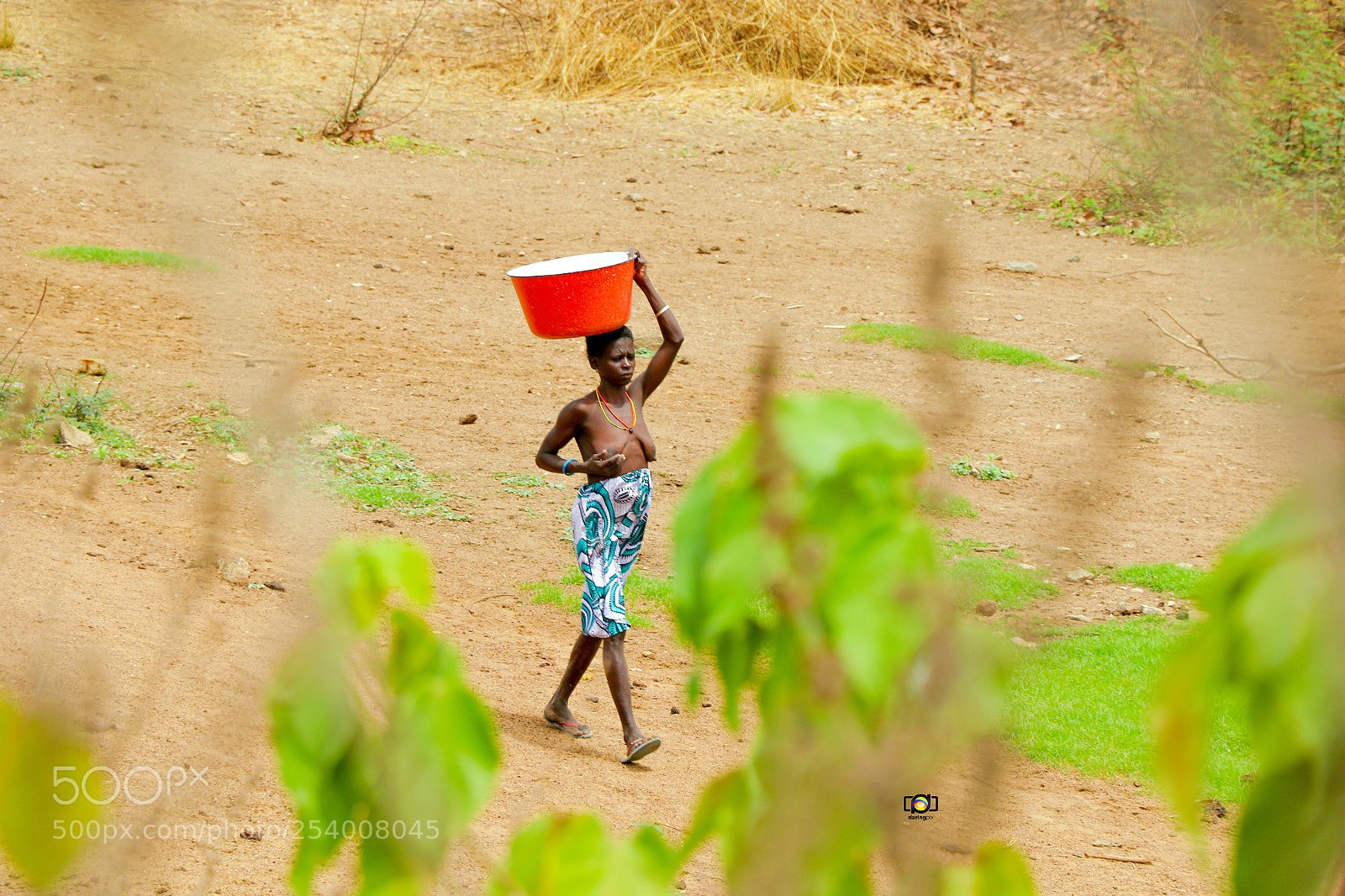 Canon EOS 7D Mark II sample photo. Untitled photography