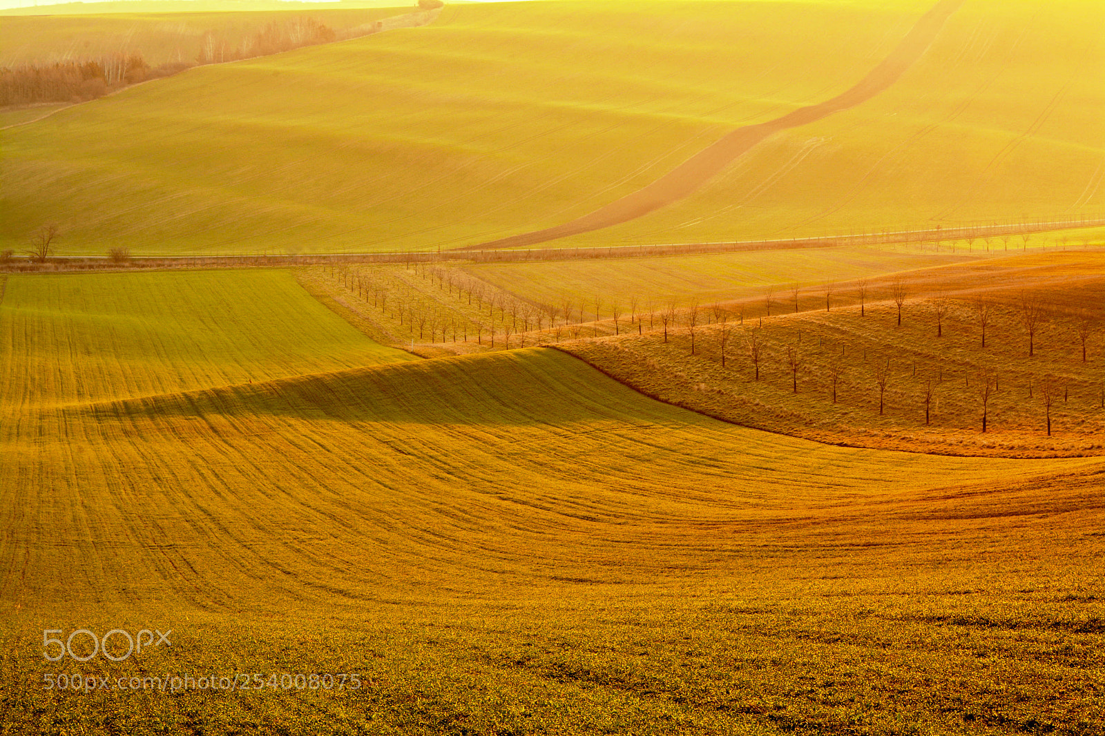 Nikon D7100 sample photo. Morning in the south photography