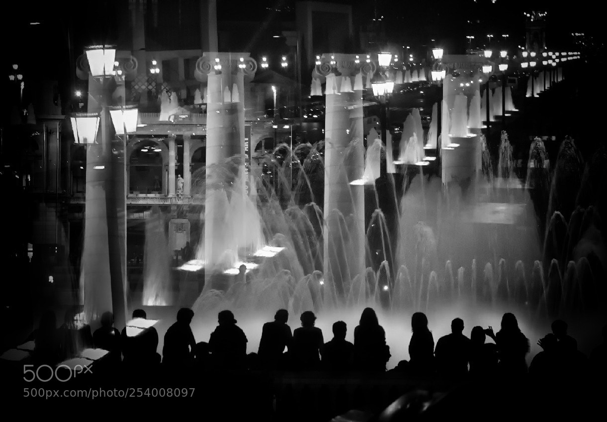 Nikon D300 sample photo. Theater of light photography