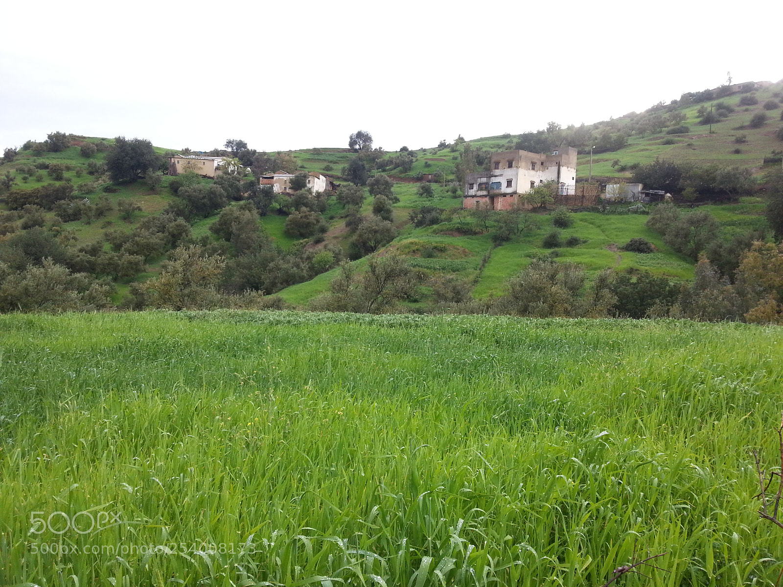 Samsung Galaxy S3 sample photo. Untitled photography