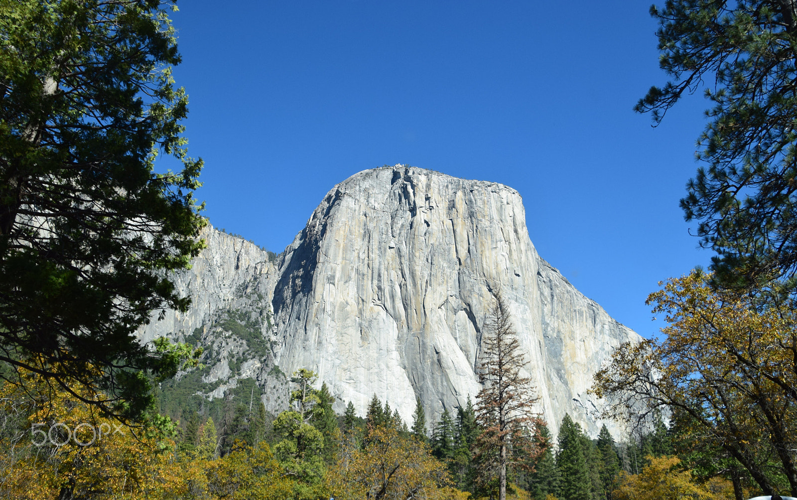 Nikon D5300 sample photo. El capitan photography