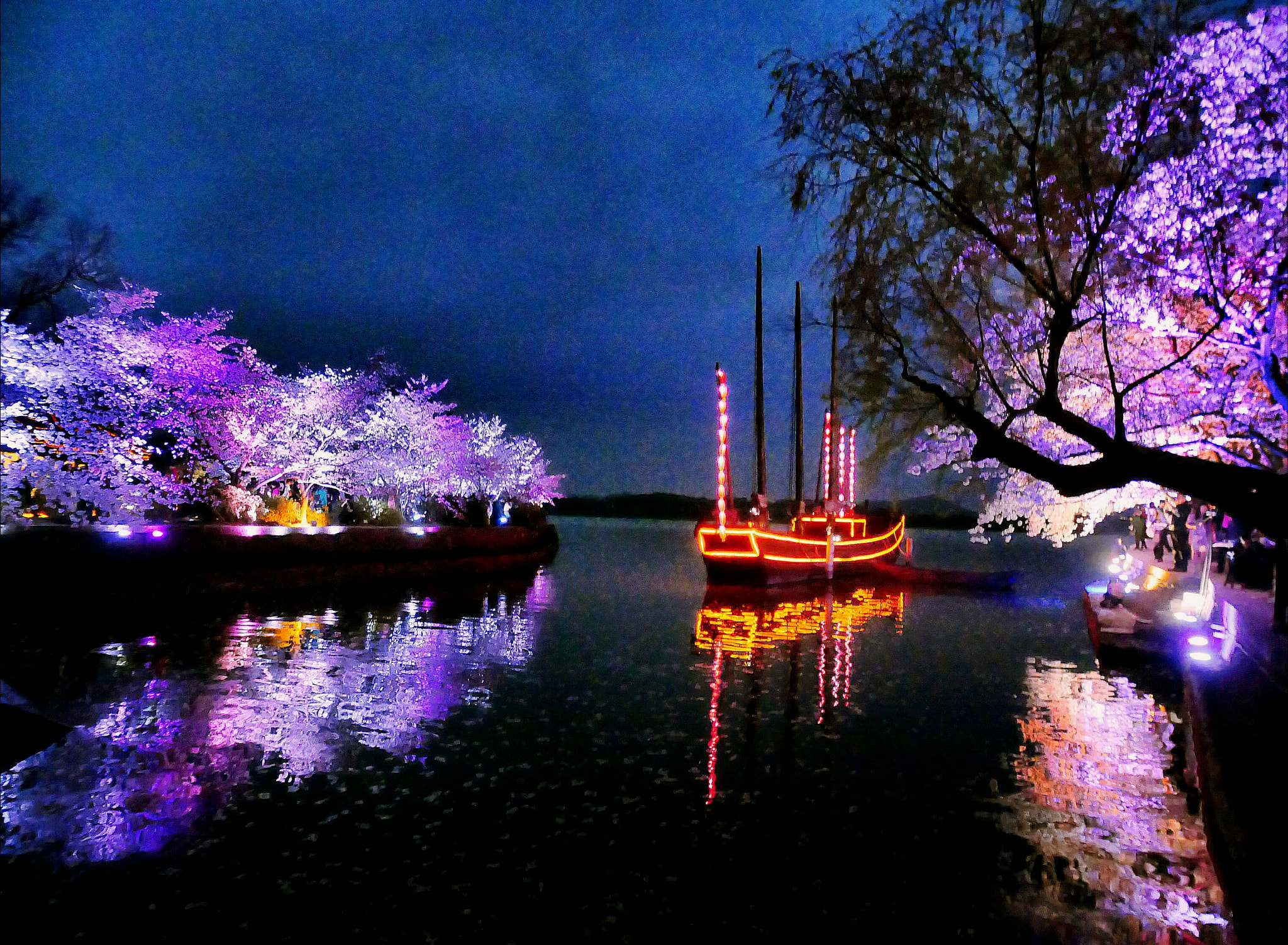 Panasonic Lumix DC-GX850 (Lumix DC-GX800 / Lumix DC-GF9) sample photo. Night of yuantouzhu garden photography