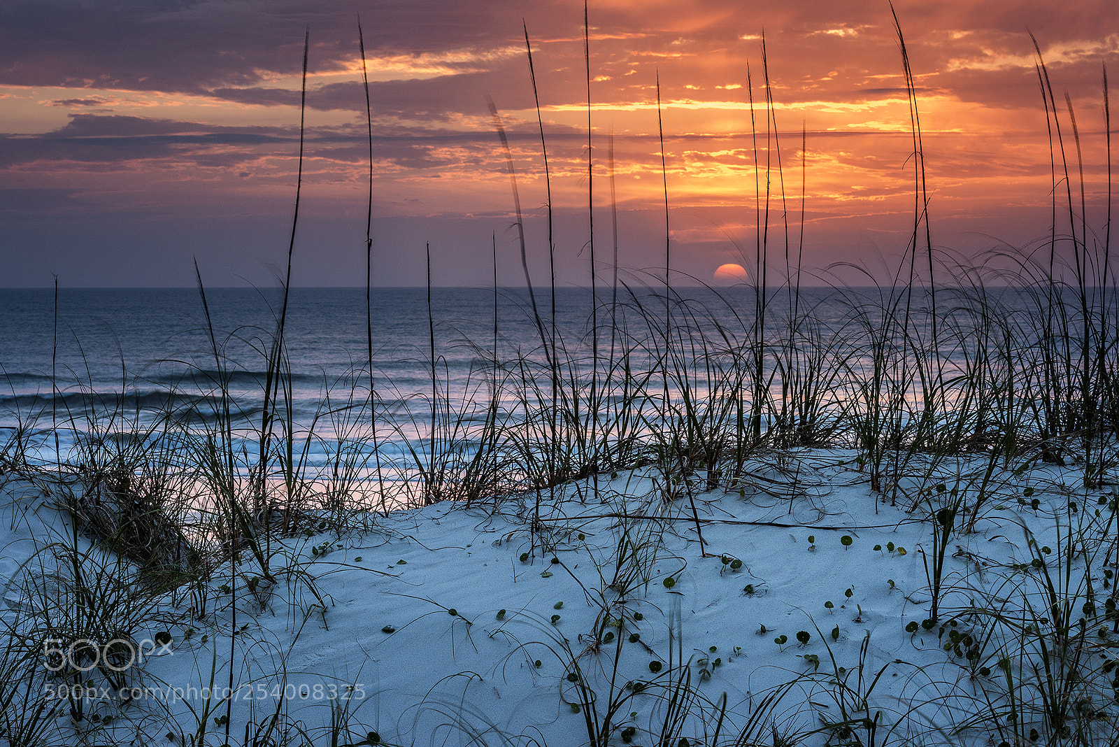 Nikon D800E sample photo. Dune, ocean & sun photography
